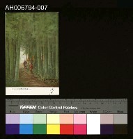 藏品(臺灣風景熱帶竹林明信片)的圖片